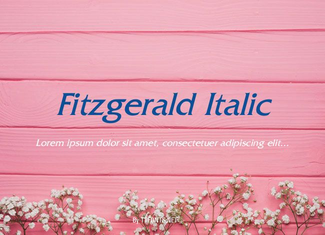 Fitzgerald Italic example